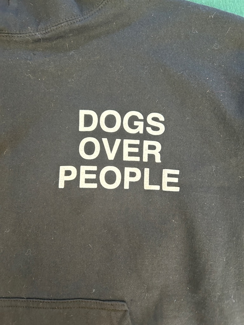 🐾🔥🔥 Dogs Over People Black Graphic Hoodie - Assholes Live Forever